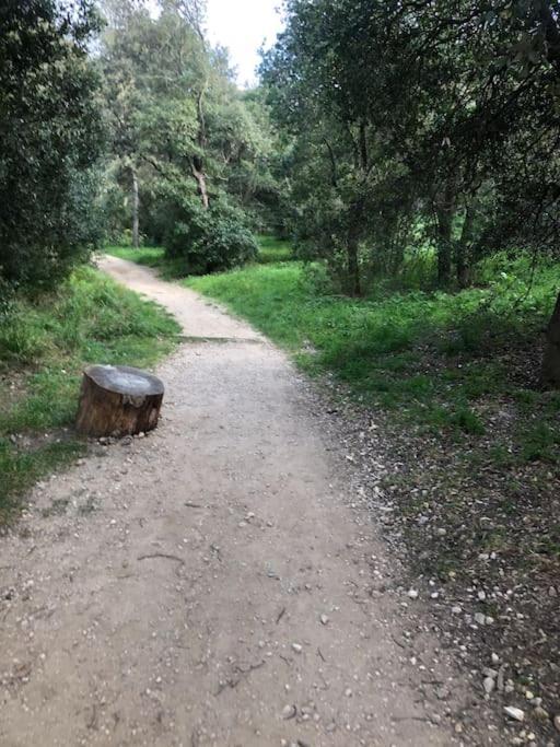 Morgiou Sormiou T4 Climatise Familial - 3 - Terrasse Bois - Jardin Privatif - Calanques A Pied - Plages & Velodrome A 10 Min - Ideal Familles & Randonneurs & Grimpeurs - Escalade A 5 Min - Sud Apartment